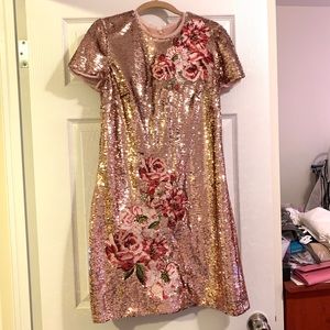 Brand New Ted Baker Dress